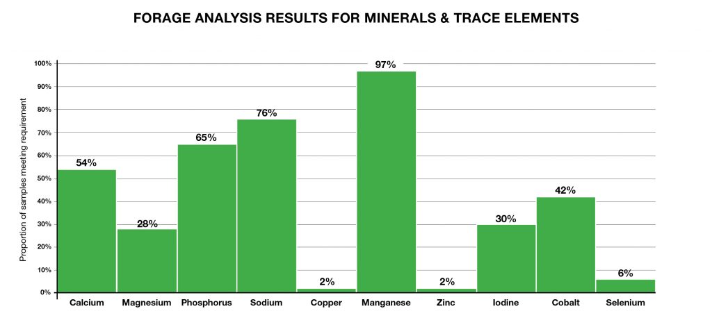 Grass silage analysis 2023-2024 Scotmin Nutrition